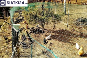 Siatki Koszalin - Siatka na woliery - zabezpieczenia ptaków w hodowli dla terenów Koszalina